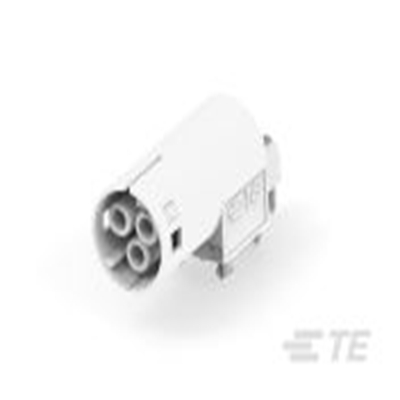 293605-1 TE product image
